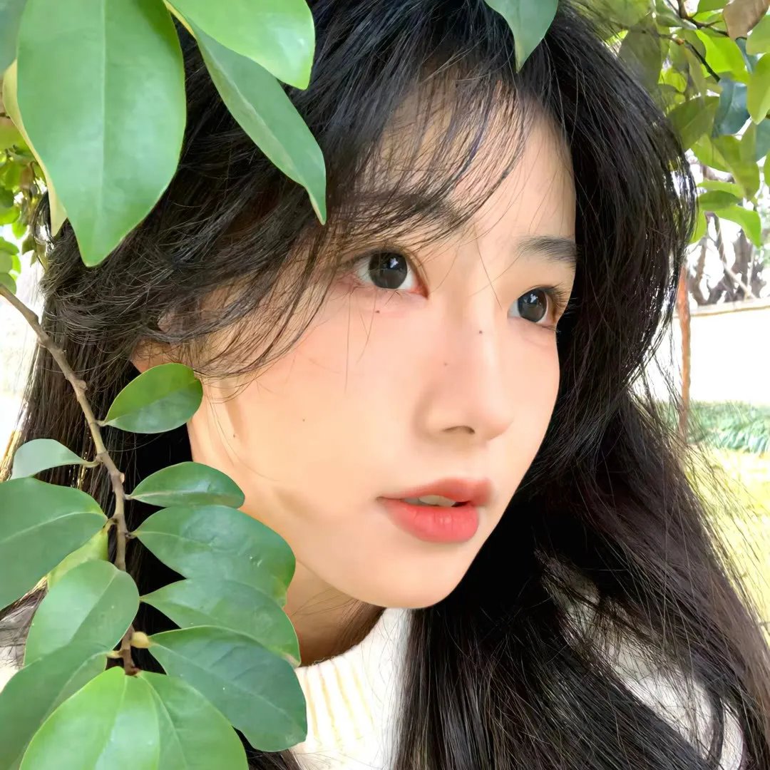 夏日啰啰挛